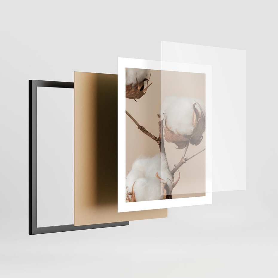 Plakat w ramie 40x50 - Bawełniana melancholia - bawełna, suche - rama czarna