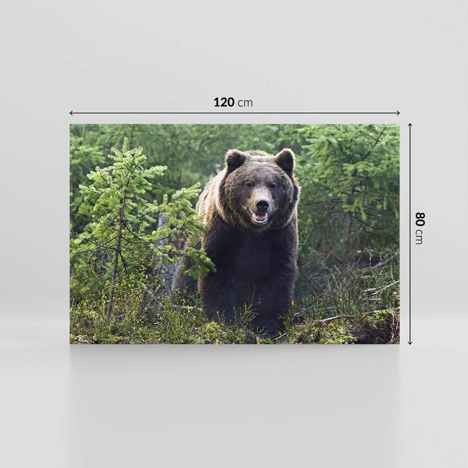 Obraz na płótnie 120x80 - Spotkanie z Niedźwiedziem w Lesie - niedźwiedź, las