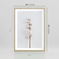 Plakat w ramie 50x70 - Minimalistyczna Gałązka Bawełny - bawełna, gałązka bawełny - rama drewno