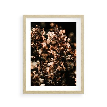 Plakat w ramie 50x70 - Sucha Kompozycja Kwiatów - suche kwiaty hortensji - rama drewno