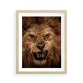Plakat w ramie 40x50 - Władca Sawanny - lew, sawanna - rama drewno