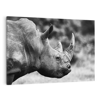 Obraz na płótnie 100x70 - Potęga Afryki - czarno biała fotografia, zbliżenie na postać nosorożca
