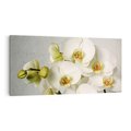 Obraz na płótnie 140x70 - Elegancka uroda orchidei - orchidea, kwiaty