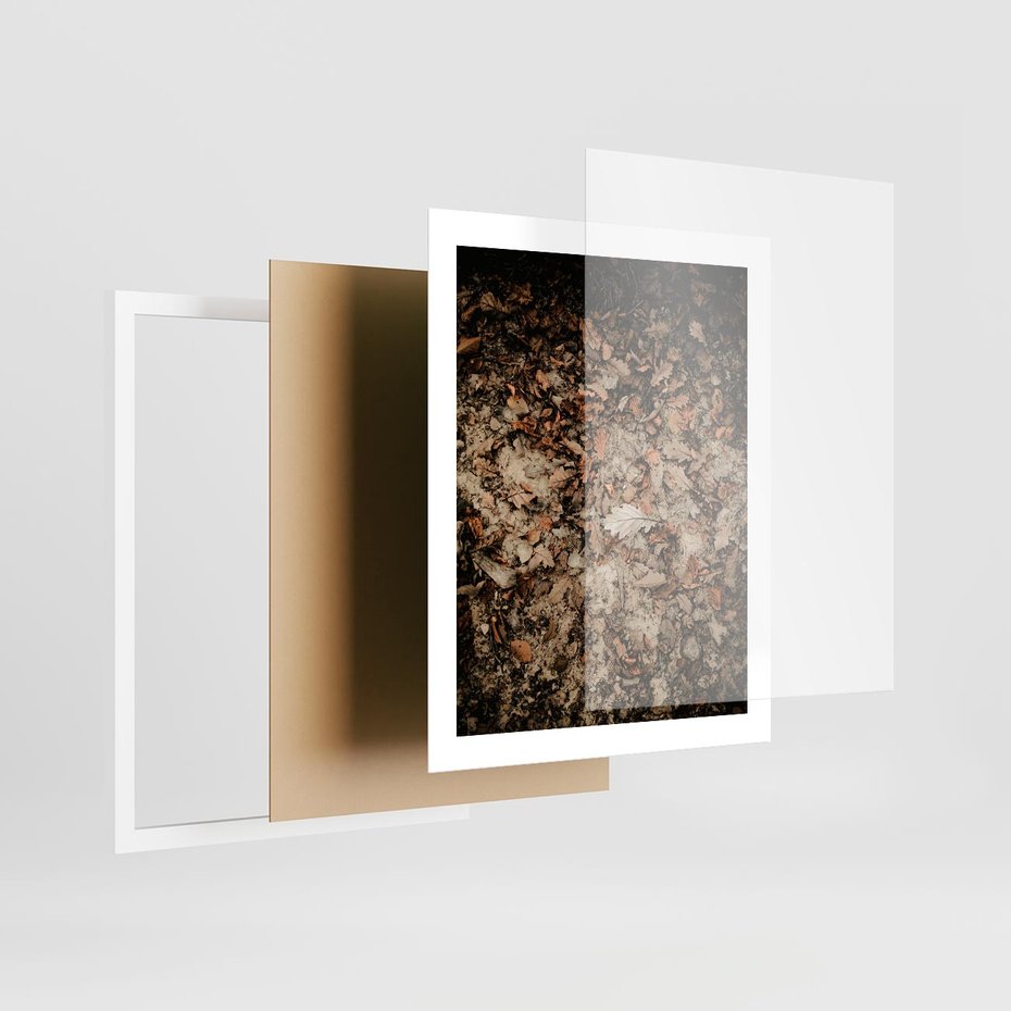 Plakat w ramie 40x50 - Suchość Liści w Brązowych Tonach - suche liście jesień brąz - rama biała