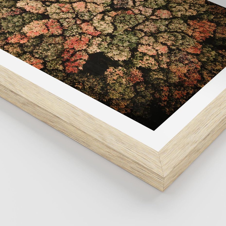 Plakat w ramie 40x50 - Jesień z Lotu Ptaka: Malowniczy Las - las jesienią z lotu ptaka - rama drewno