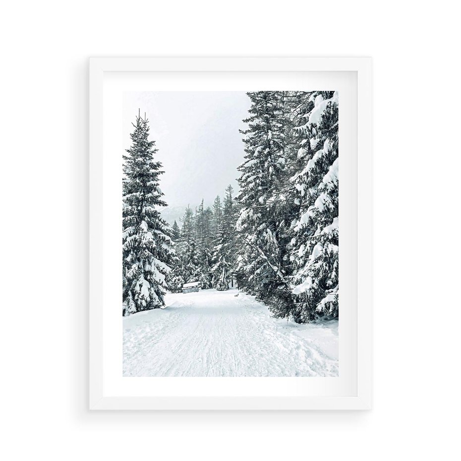 Plakat w ramie 40x50 - Magia Zimy na Obrazie - las, zima - rama biała