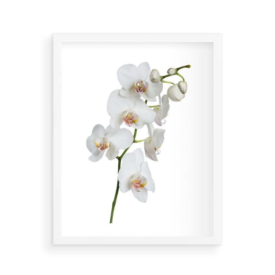 Plakat w ramie 40x50 - Ekskluzywny Relaks - storczyk, spa - rama biała