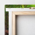 Obraz na płótnie 30x30 - Magiczne schody w lesie - schody, las
