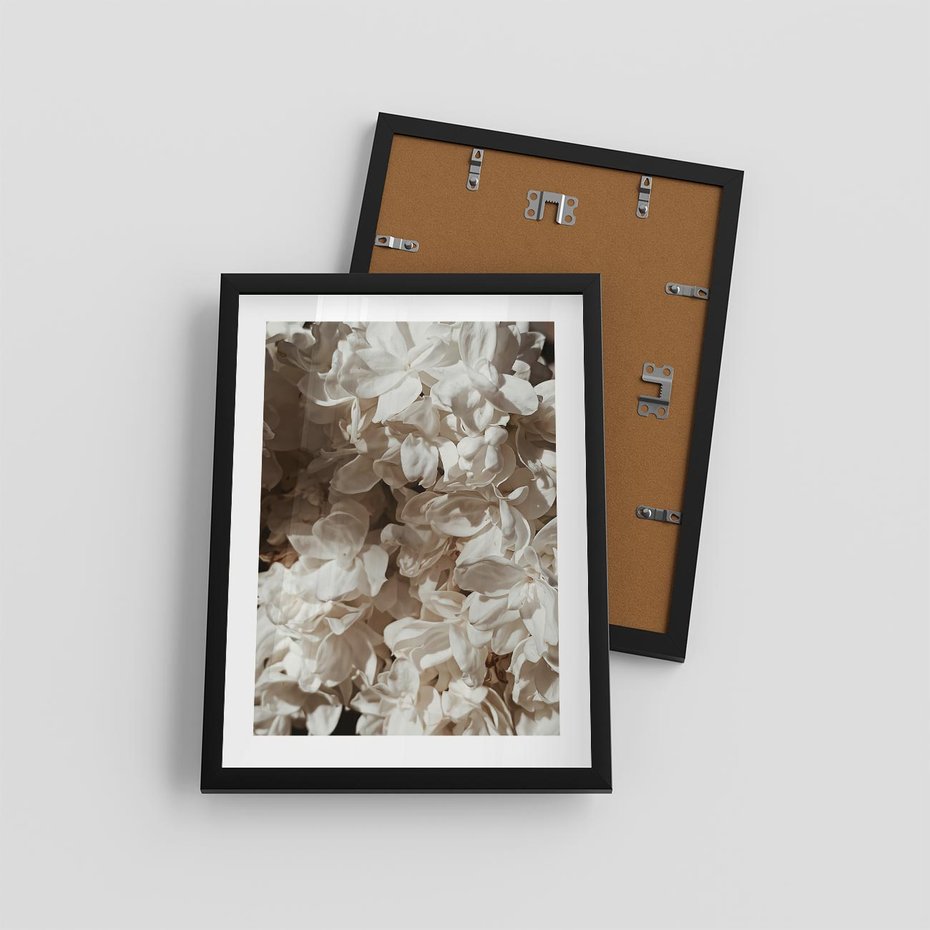 Plakat w ramie 30x40 - Płatki w Detalu - białe kwiaty, zbliżenie - rama czarna