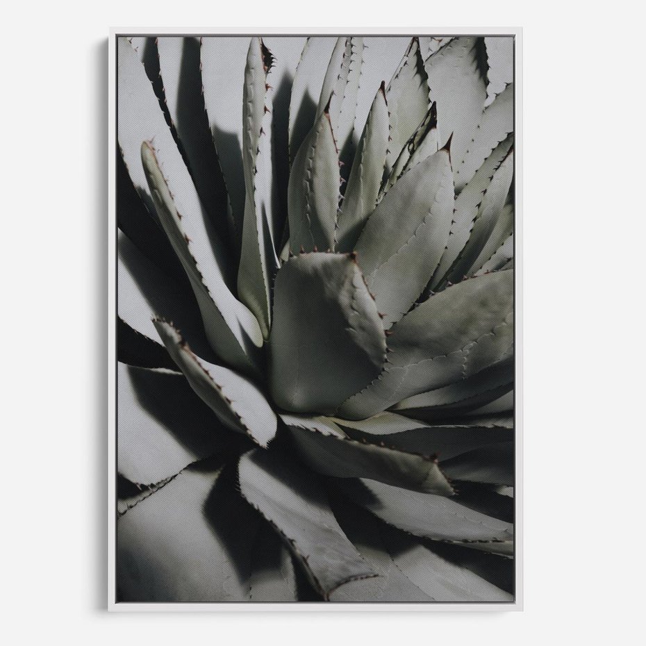 Obraz w ramie 80x120 - Sukulenty wśród kaktusów - sukulenty, kaktusy - rama biała