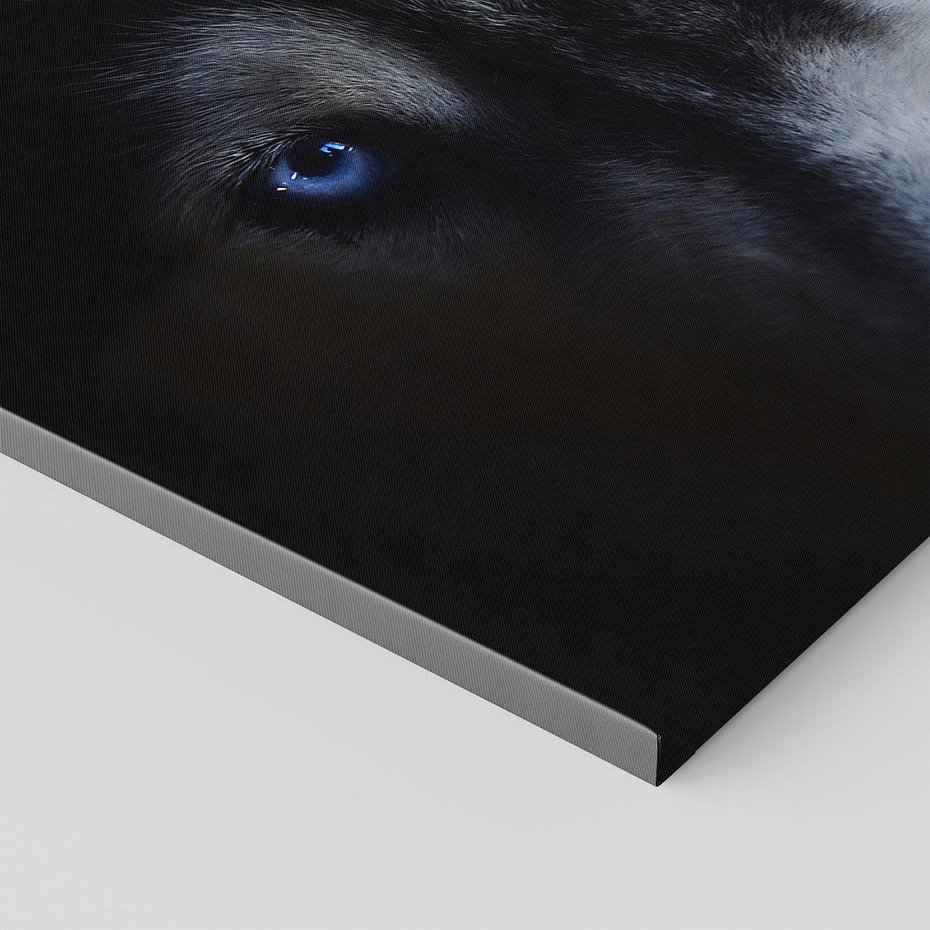 Obraz na płótnie 120x80 - Wilk i husky: siła przyjaźni - wilk, husky