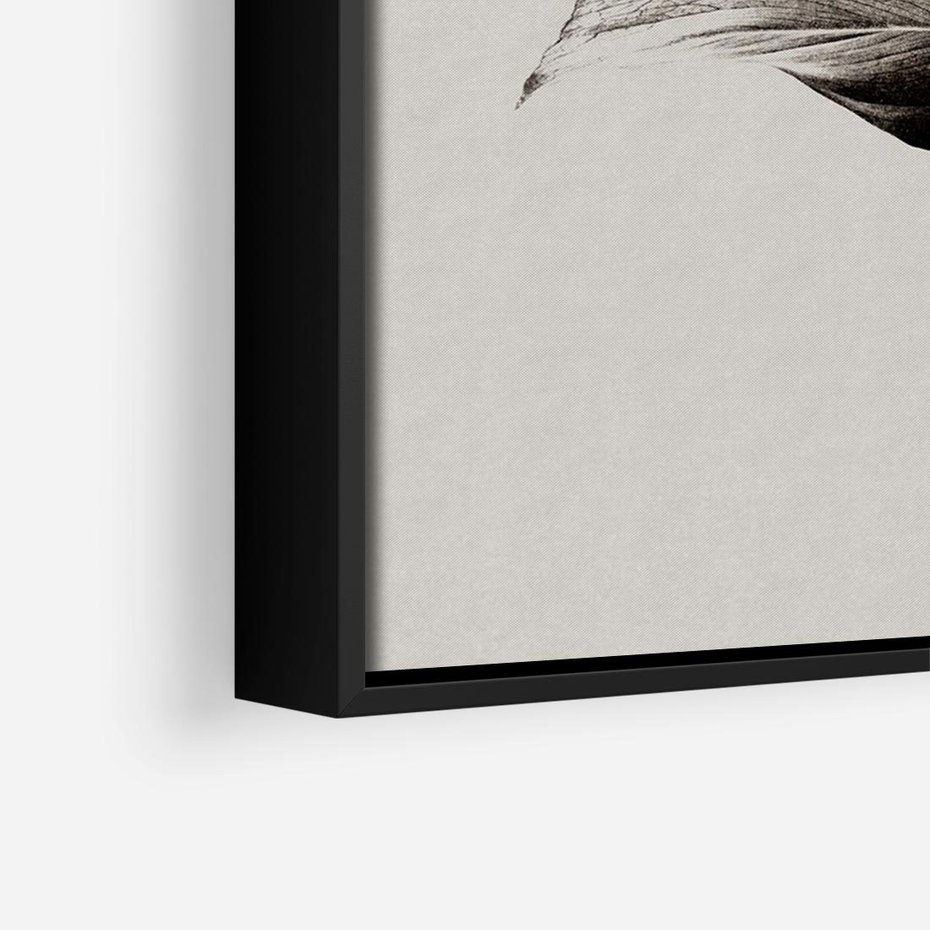 Obraz w ramie 70x50 - Szepczący Liść - szkic, czarno biały - rama czarna