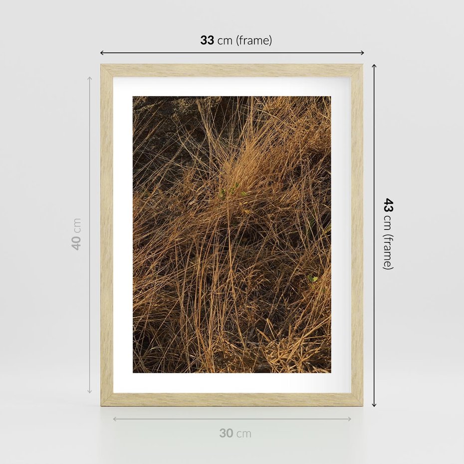 Plakat w ramie 30x40 - Szlachetna Suchość Traw - trawy, suche trawy - rama drewno