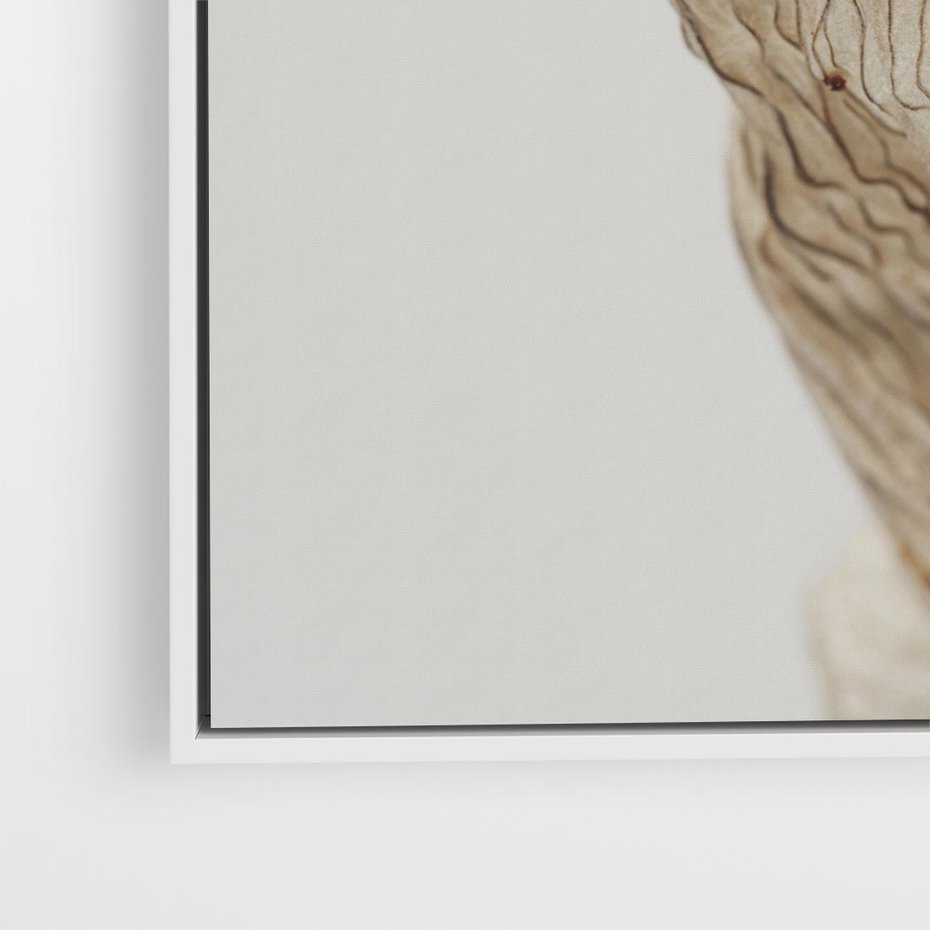 Obraz w ramie 50x50 - Suszone piękno - susz, suche - rama biała