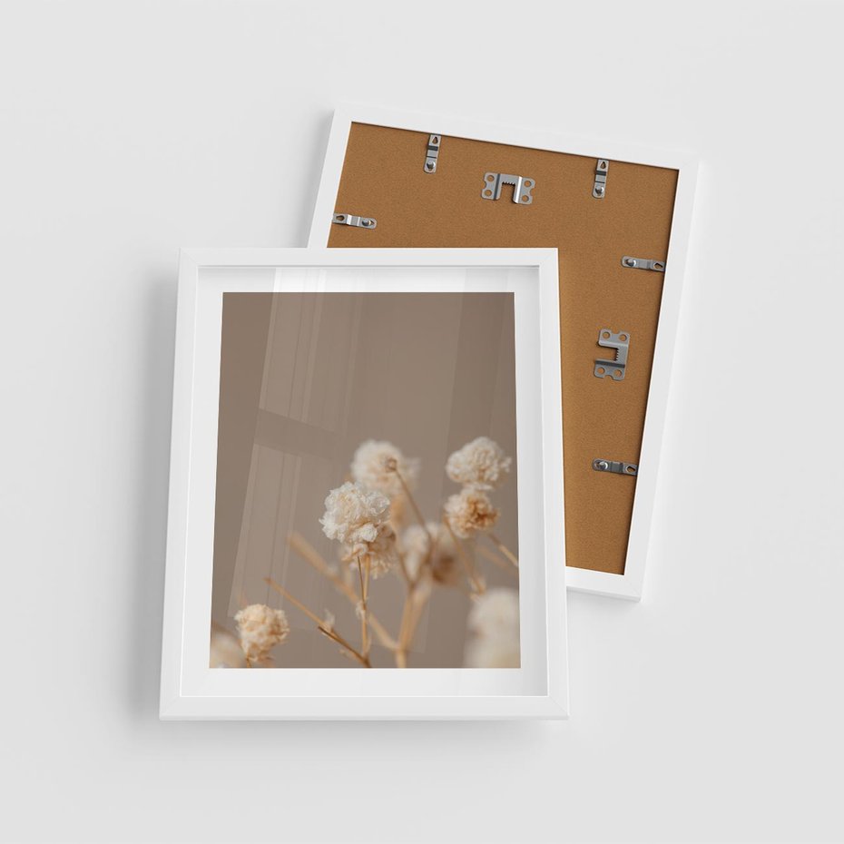 Plakat w ramie 40x50 - Przezroczyste piękno - gipsówka, suche - rama biała