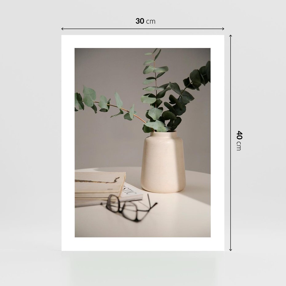 Plakat bez ramy 30x40 - Eukaliptusowe liście w okularach - liście, eukaliptus