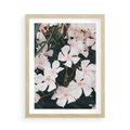 Plakat w ramie 50x70 - Egzotyczna Uroda - białe kwiaty, tropikalne kwiaty - rama drewno