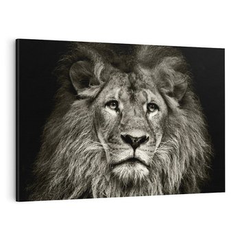 Obraz na płótnie 120x80 - Moc lewego spojrzenia - lew, czarno