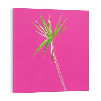 Obraz na płótnie 70x70 - Retro Stylizacja - palma, liście