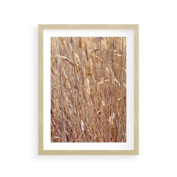 Plakat w ramie 50x70 - Mistrzowskie suche trawy - suche, trawy - rama drewno