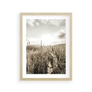 Plakat w ramie 30x40 - Łąka w Klimacie Sepii - suche trawy, łąka - rama drewno
