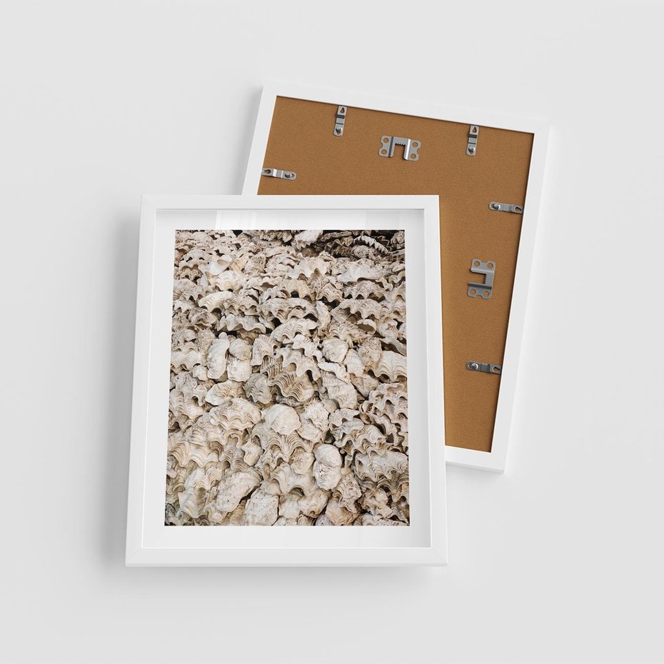 Plakat w ramie 40x50 - Symfonia Natury - kompozycja z białych muszli - rama biała