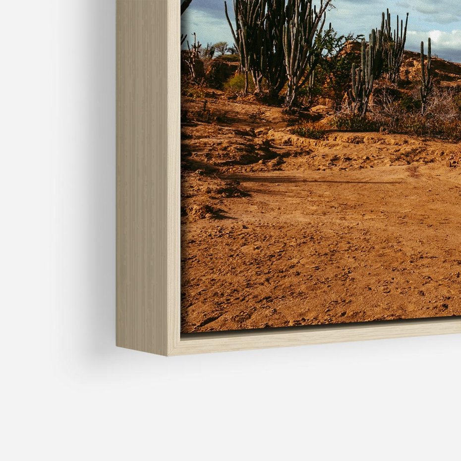 Obraz w ramie 50x50 - Skarby Pustynnego Kanionu - pustynia, kaktusy - rama drewno