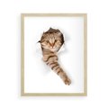 Plakat w ramie 40x50 - Kot w Dziurze - kot, dziura - rama drewno