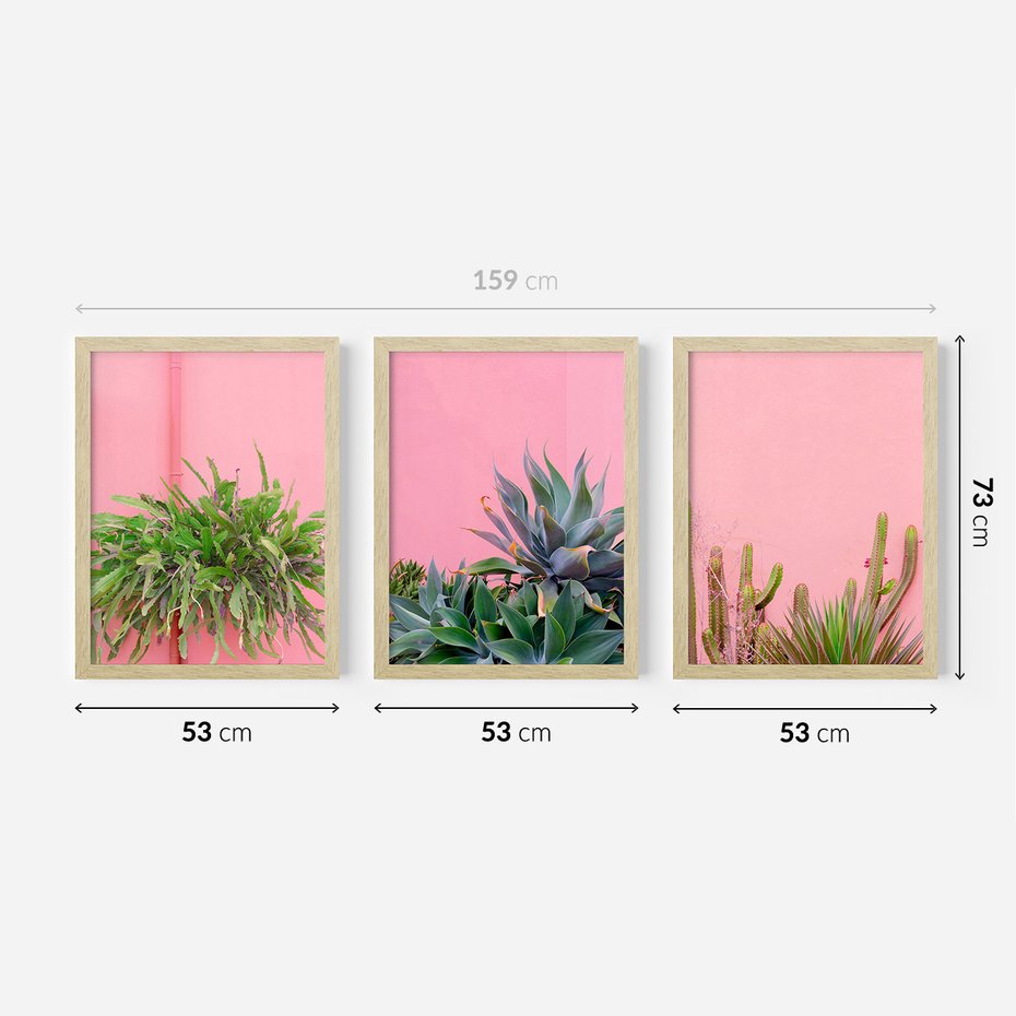Zestaw obrazy w ramie 50x70 galeria - Liście, kaktusy, rośliny, pastele, retro - rama drewno