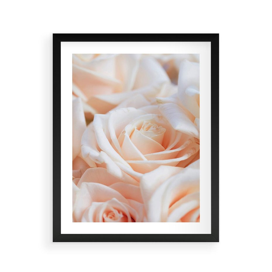 Plakat w ramie 40x50 - Aromatyczna Piękność - płatki herbacianej róży, kwiaty - rama czarna