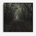 Obraz w ramie 50x50 - Urok Drogi - las, droga - rama czarna