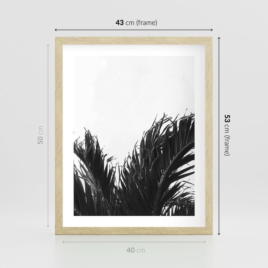 Plakat w ramie 40x50 - Tropikalna Uroda w Czerni i Bieli - fotografia czarno biała, liście palmy - rama drewno
