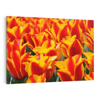 Obraz na płótnie 120x80 - Kwiatowa natura - kwiat, kwiaty