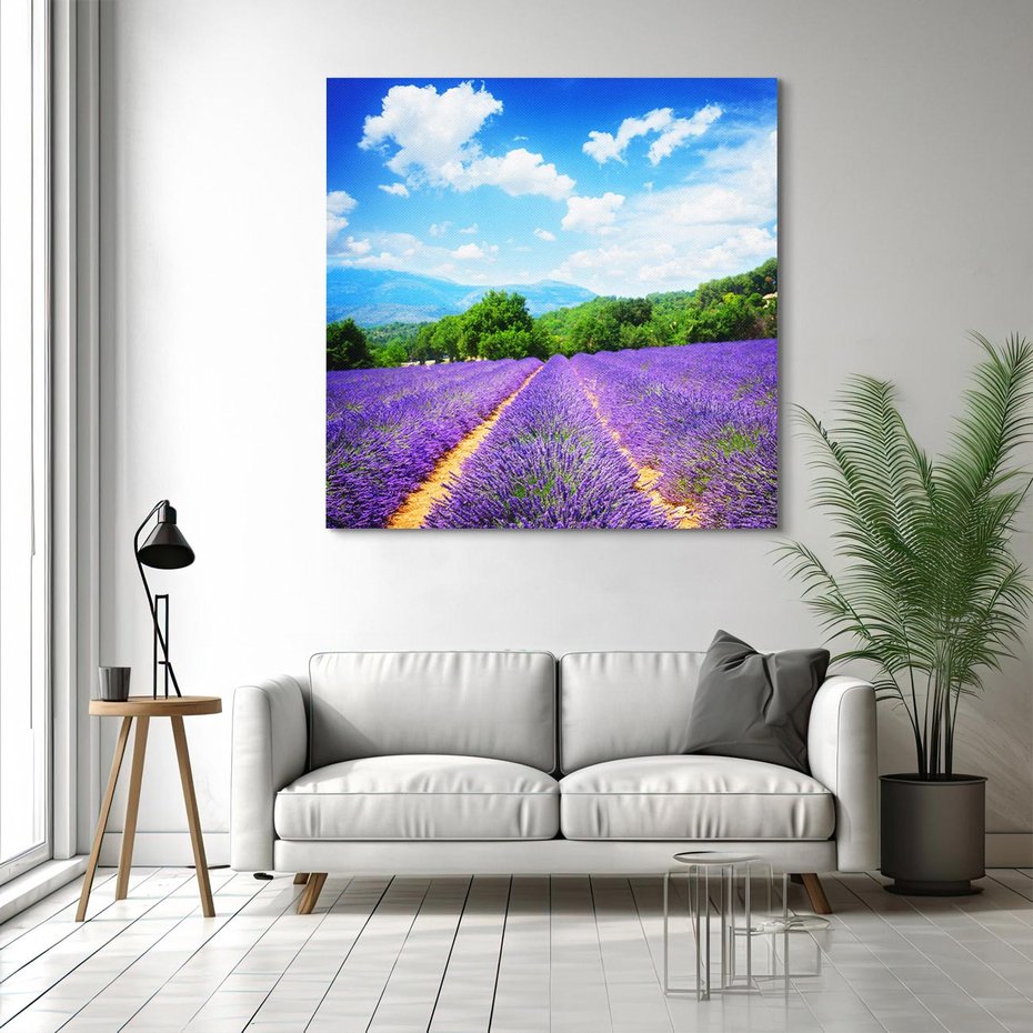 Obraz na płótnie 40x40 - Prowansalska Lawenda - lawenda, prowansja