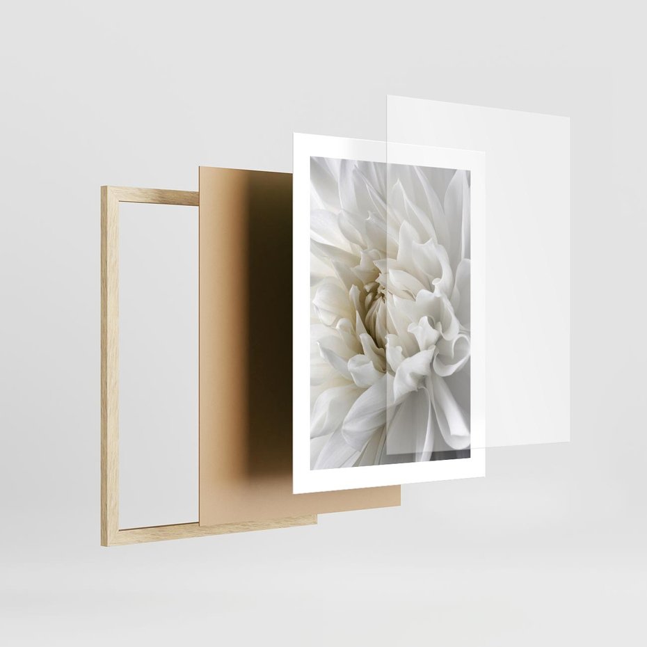 Plakat w ramie 30x40 - Białe Kwiaty Delikatności - białe, kwiaty - rama drewno