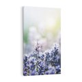 Obraz na płótnie 50x70 - Delikatna Uroda Natury - wrzosy, fiolet