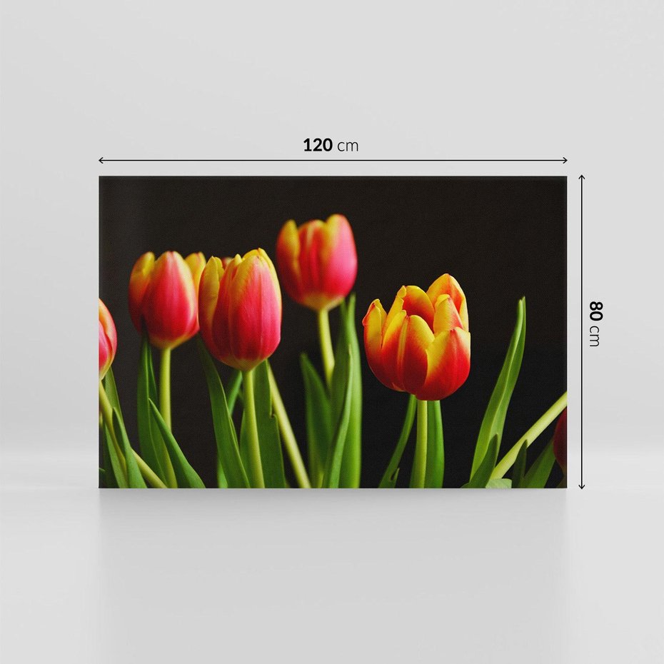Obraz na płótnie 120x80 - Tulipany w przyrodzie: harmonia kształtów - tulipany, kiwaty