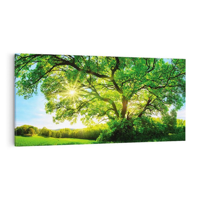 Obraz na płótnie 100x50 - Natura w pełnym rozkwicie - drzewo, niebo