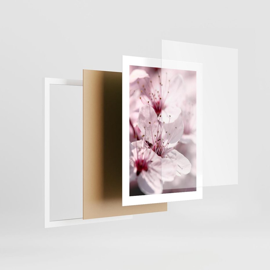 Plakat w ramie 30x40 - Kwitnąca Wiśnia - kwiaty, kwitnąca - rama biała