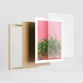 Plakat w ramie 40x50 - Fotografia Rośliny z Różowym Tłem - fotografia, zielona roślina na tle różwj ściany - rama drewno