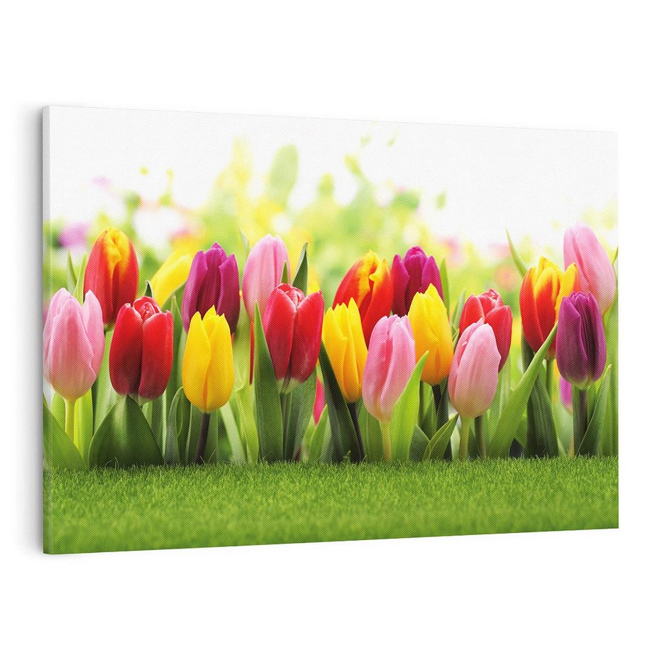 Obraz na płótnie 100x70 - delikatność kwiatowego świata - tulipany, kwiaty