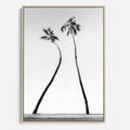 Obraz w ramie 70x100 - Samotne Palmy - czarno biała fotografia, dwie samotne palmy - rama drewno