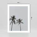 Plakat bez ramy 40x50 - Tropikalny Raj: Palmy i Niebo - palmy, niebo