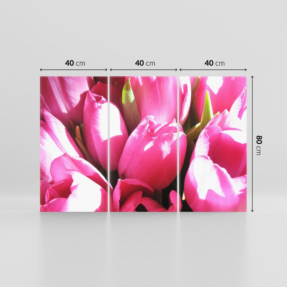 Obraz na płótnie 120x80 - Tulipany w pejzażu - tulipany, kwiaty