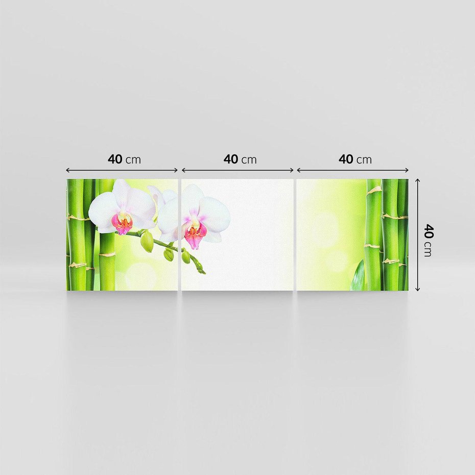 Obraz na płótnie 120x40 - Orchidea, Bambus i Relaks w SPA - orchidea, kwiat