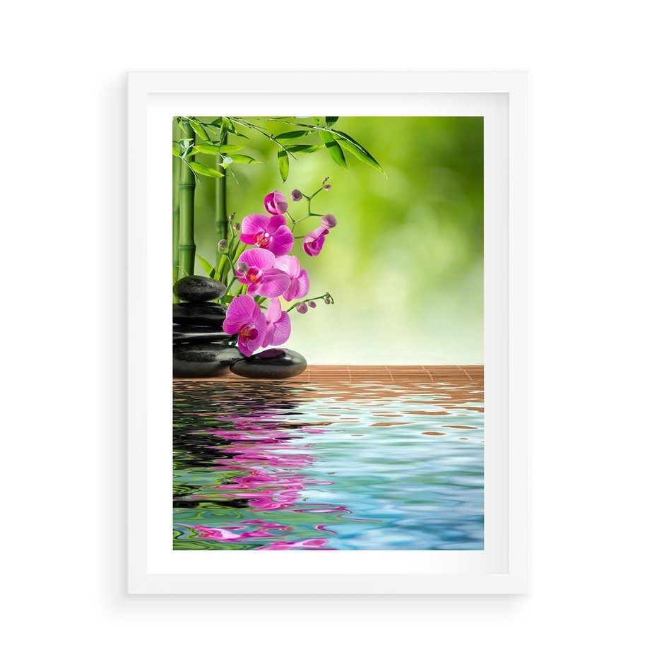 Plakat w ramie 50x70 - Oaza Storczyka i Wody - spa, storczyk - rama biała