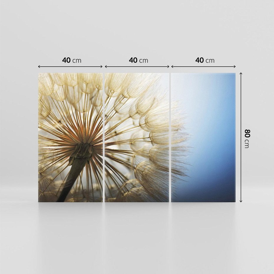 Obraz na płótnie 120x80 - Delikatny dmuchawiec w pełnym rozkwicie - dmuchawiec, kwiat