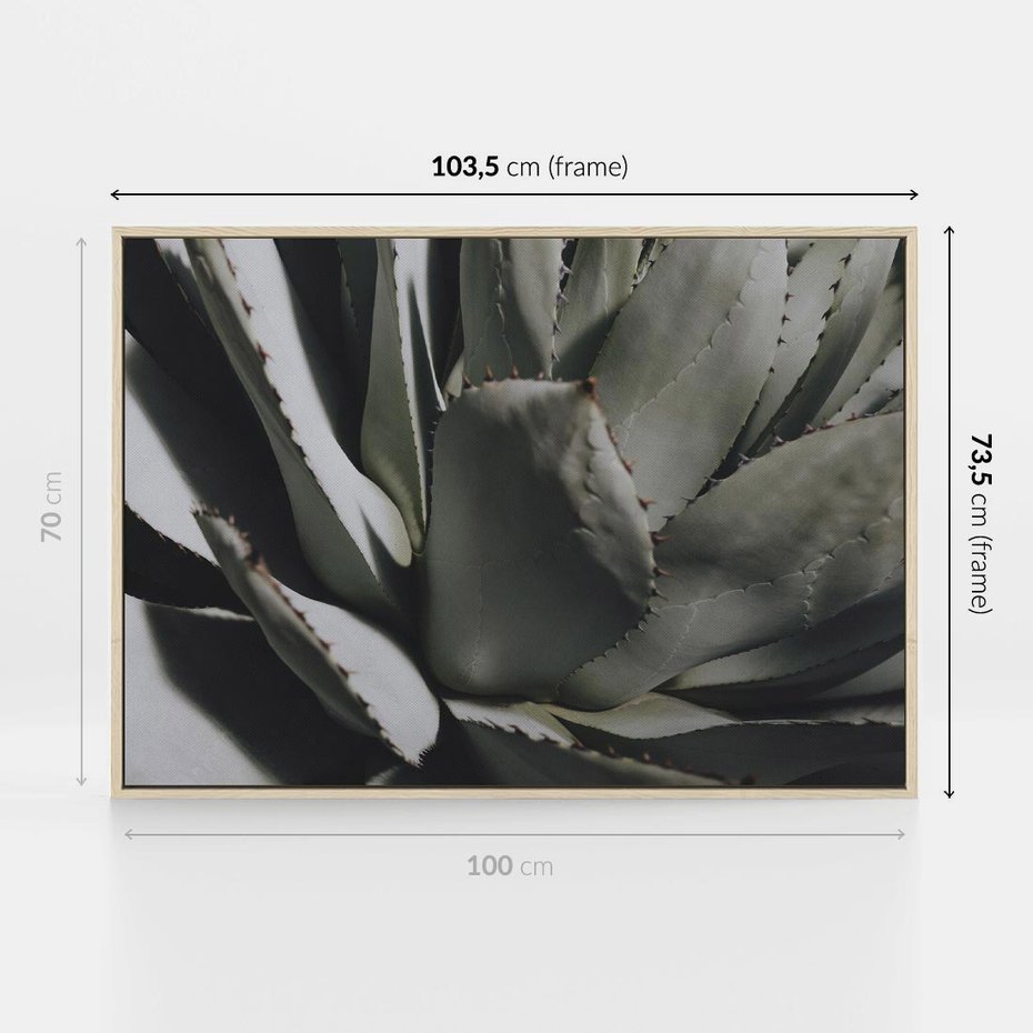 Obraz w ramie 100x70 - Sukulenty wśród kaktusów - sukulenty, kaktusy - rama drewno