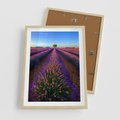 Plakat w ramie 50x70 - Fioletowa Magia - pole, lawendy - rama drewno