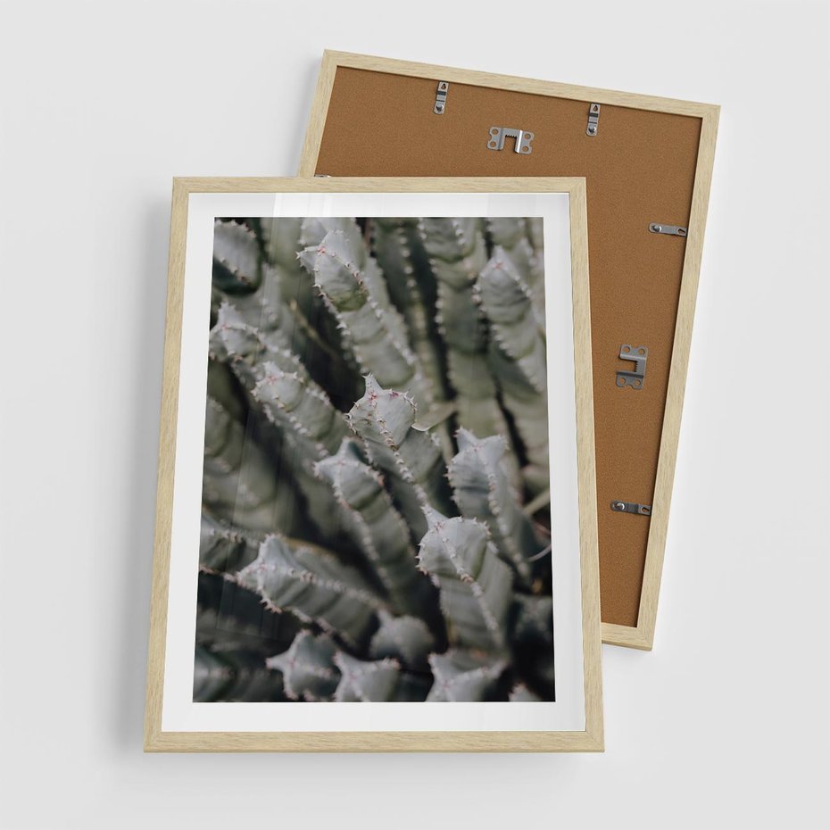 Plakat w ramie 50x70 - Oaza Natury - sukulenty, kaktusy - rama drewno